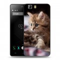 Дизайнерский силиконовый чехол для Doogee X5 Котята