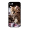 Дизайнерский силиконовый чехол для Iphone 7 Котята