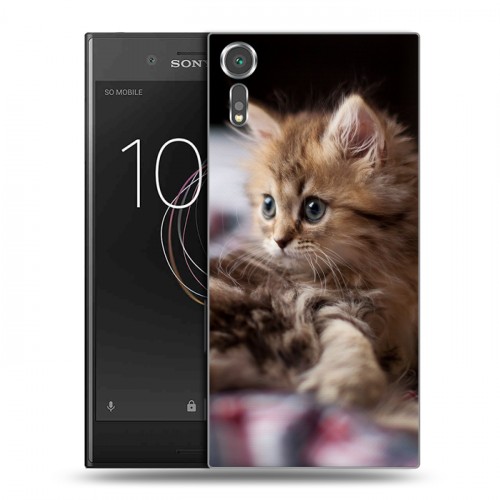 Дизайнерский пластиковый чехол для Sony Xperia XZs Котята