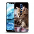 Дизайнерский пластиковый чехол для Nokia 5.1 Plus Котята