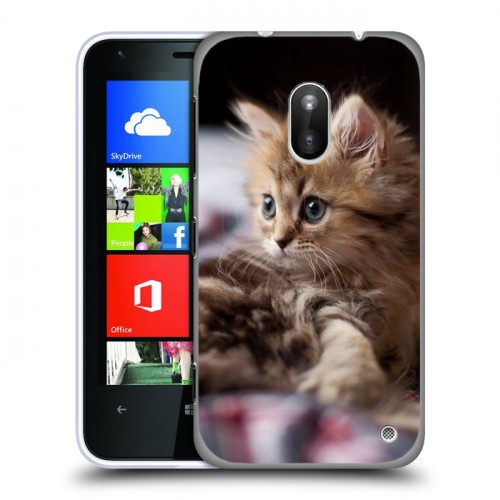 Дизайнерский пластиковый чехол для Nokia Lumia 620 Котята