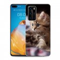 Дизайнерский пластиковый чехол для Huawei P40 Котята