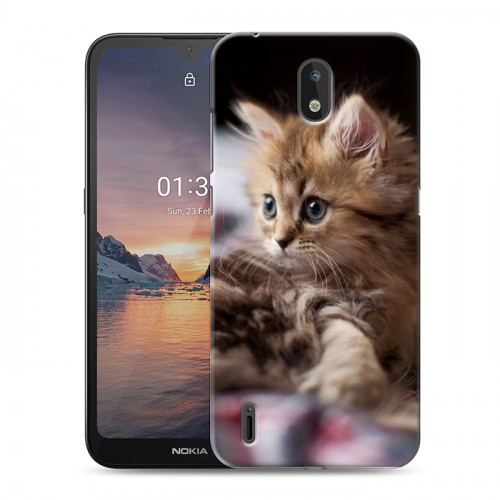 Дизайнерский силиконовый чехол для Nokia 1.3 Котята