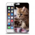 Дизайнерский силиконовый чехол для Iphone 6 Plus/6s Plus Котята