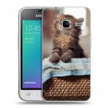 Дизайнерский силиконовый чехол для Samsung Galaxy J1 mini (2016) Котята