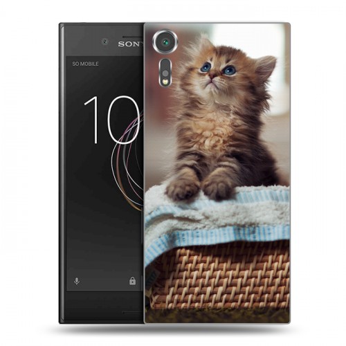 Дизайнерский пластиковый чехол для Sony Xperia XZs Котята