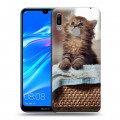 Дизайнерский пластиковый чехол для Huawei Y6 (2019) Котята