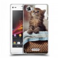 Дизайнерский пластиковый чехол для Sony Xperia L Котята