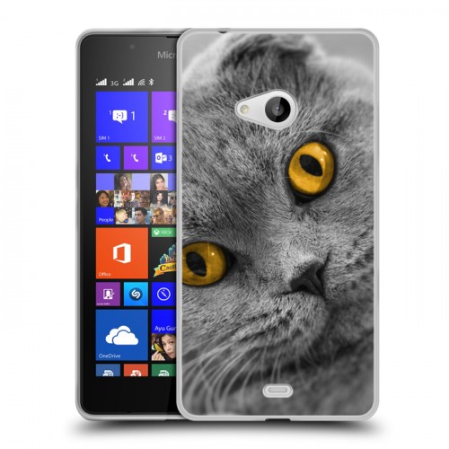 Дизайнерский пластиковый чехол для Microsoft Lumia 540 Кошки