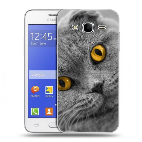 Дизайнерский силиконовый чехол для Samsung Galaxy J7 Кошки