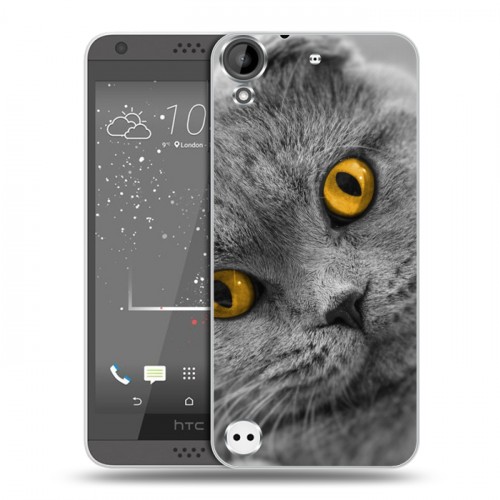 Дизайнерский пластиковый чехол для HTC Desire 530 Кошки