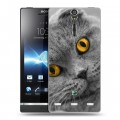 Дизайнерский пластиковый чехол для Sony Xperia S Кошки