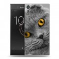 Дизайнерский пластиковый чехол для Sony Xperia XZs Кошки