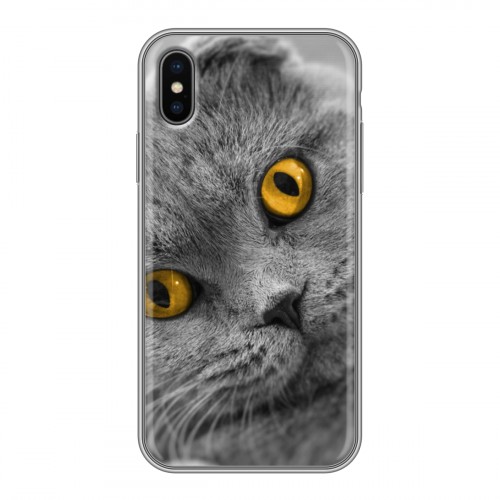 Дизайнерский силиконовый чехол для Iphone x10 Кошки