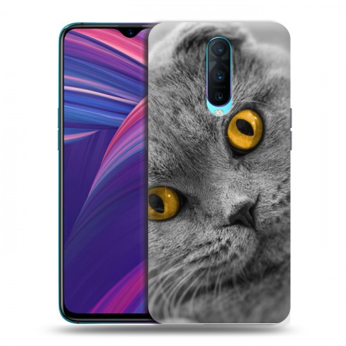 Дизайнерский пластиковый чехол для OPPO RX17 Pro Кошки