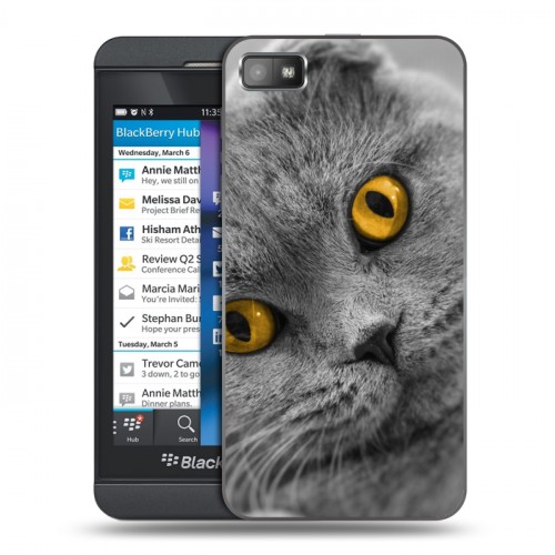 Дизайнерский пластиковый чехол для BlackBerry Z10 Кошки
