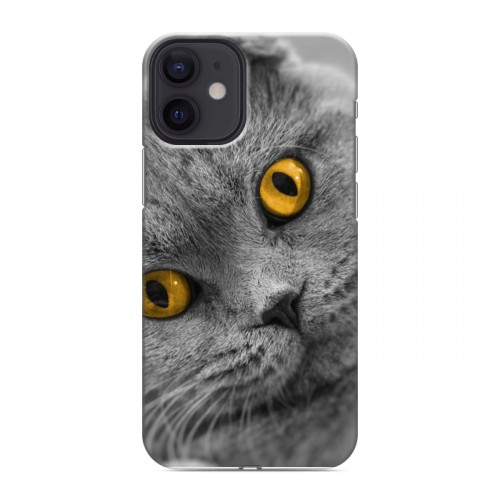 Дизайнерский силиконовый с усиленными углами чехол для Iphone 12 Mini Кошки