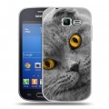 Дизайнерский пластиковый чехол для Samsung Galaxy Trend Lite Кошки