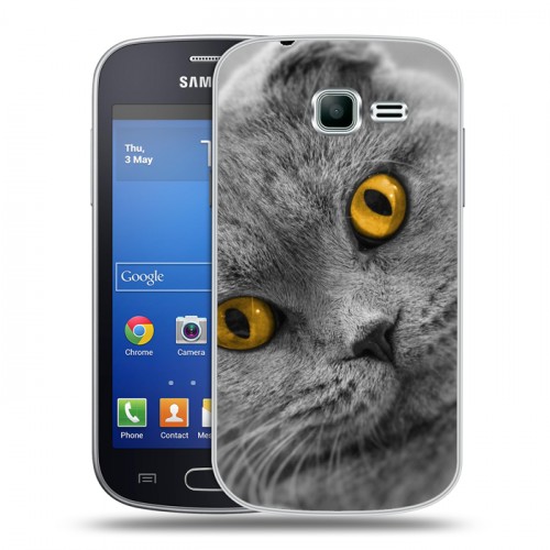 Дизайнерский пластиковый чехол для Samsung Galaxy Trend Lite Кошки