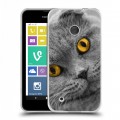 Дизайнерский пластиковый чехол для Nokia Lumia 530 Кошки