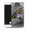 Дизайнерский пластиковый чехол для Lenovo S90 Кошки