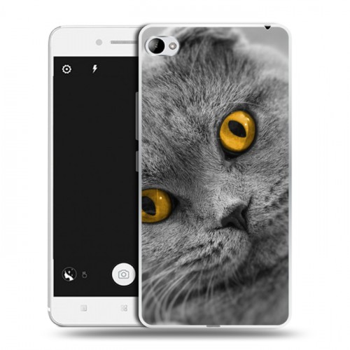 Дизайнерский пластиковый чехол для Lenovo S90 Кошки
