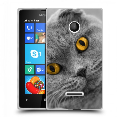 Дизайнерский пластиковый чехол для Microsoft Lumia 435 Кошки