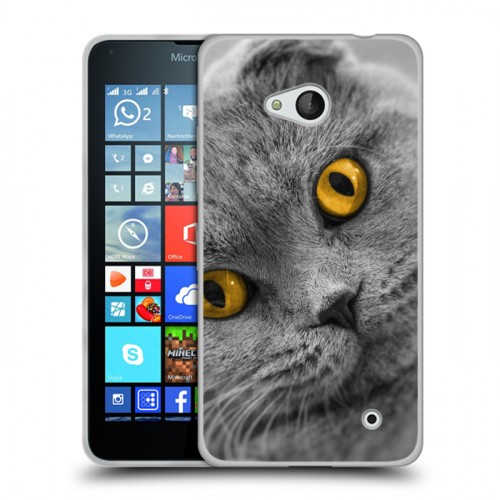 Дизайнерский силиконовый чехол для Microsoft Lumia 640 Кошки