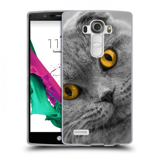 Дизайнерский пластиковый чехол для LG G4 Кошки