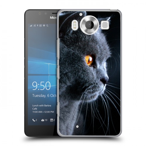 Дизайнерский пластиковый чехол для Microsoft Lumia 950 Кошки