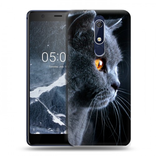 Дизайнерский пластиковый чехол для Nokia 5.1 Кошки