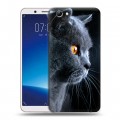 Дизайнерский силиконовый чехол для Vivo Y71 Кошки