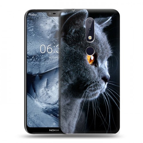 Дизайнерский пластиковый чехол для Nokia 6.1 Plus Кошки