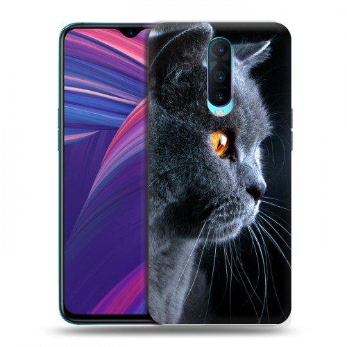 Дизайнерский пластиковый чехол для OPPO RX17 Pro Кошки