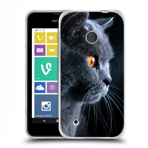 Дизайнерский пластиковый чехол для Nokia Lumia 530 Кошки