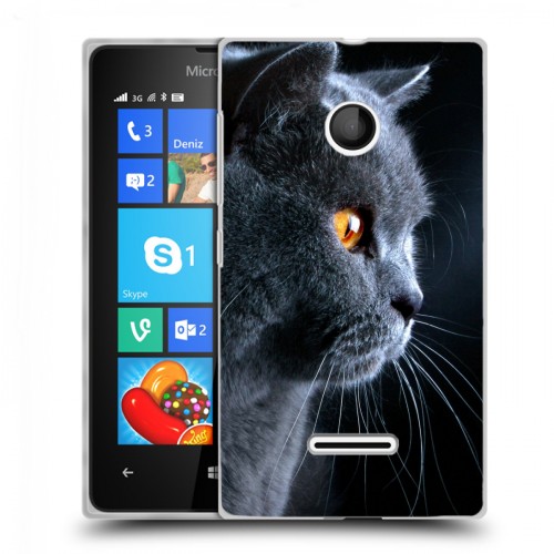 Дизайнерский пластиковый чехол для Microsoft Lumia 435 Кошки