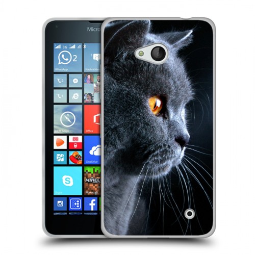 Дизайнерский пластиковый чехол для Microsoft Lumia 640 Кошки