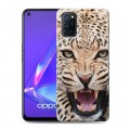 Дизайнерский пластиковый чехол для OPPO A52 Леопард