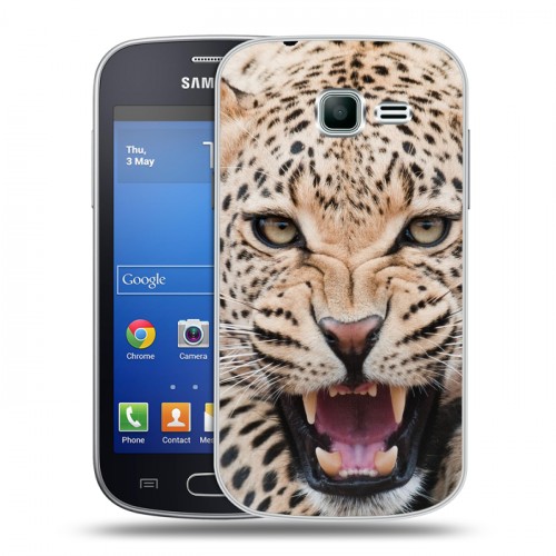 Дизайнерский пластиковый чехол для Samsung Galaxy Trend Lite Леопард