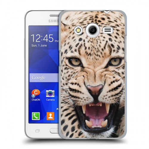 Дизайнерский пластиковый чехол для Samsung Galaxy Core 2 Леопард