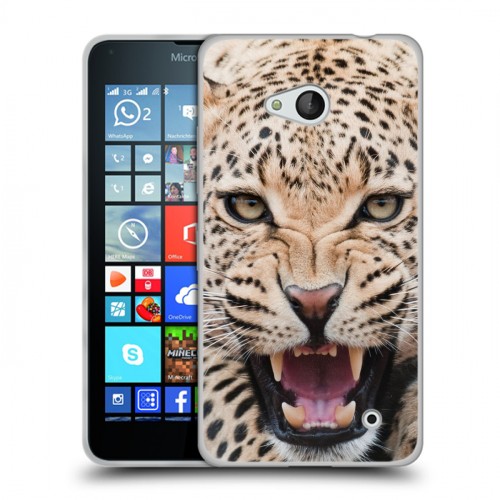 Дизайнерский пластиковый чехол для Microsoft Lumia 640 Леопард