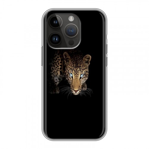 Дизайнерский силиконовый чехол для Iphone 14 Pro Леопард