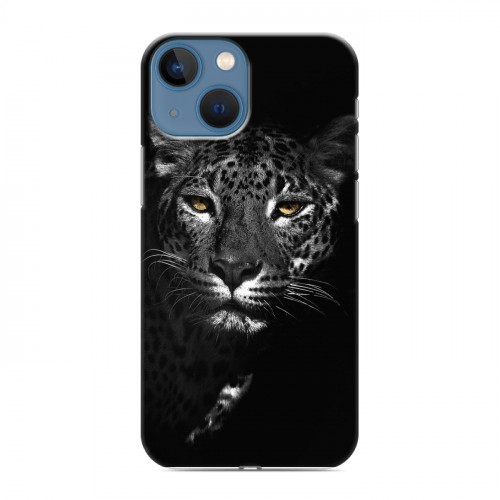 Дизайнерский пластиковый чехол для Iphone 13 Mini Леопард