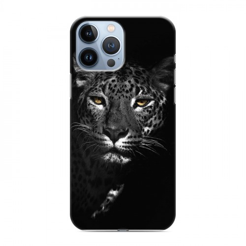 Дизайнерский пластиковый чехол для Iphone 13 Pro Max Леопард