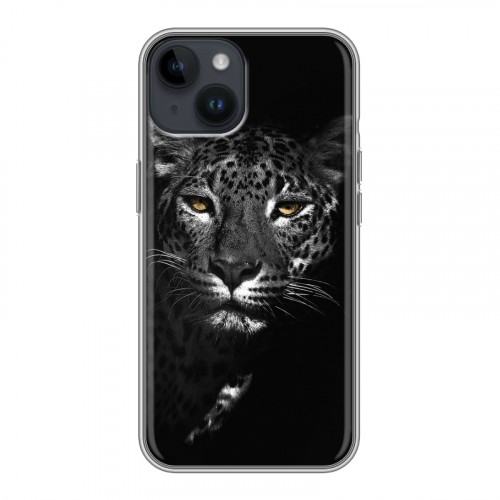 Дизайнерский пластиковый чехол для Iphone 14 Леопард