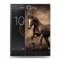 Дизайнерский пластиковый чехол для Sony Xperia XZs Лошади