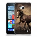 Дизайнерский пластиковый чехол для Microsoft Lumia 640 Лошади