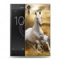 Дизайнерский пластиковый чехол для Sony Xperia XZs Лошади