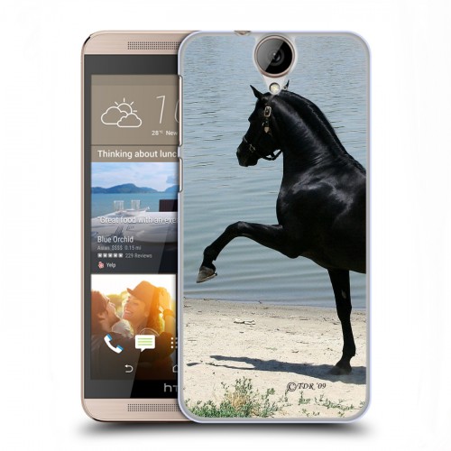 Дизайнерский пластиковый чехол для HTC One E9+ Лошади