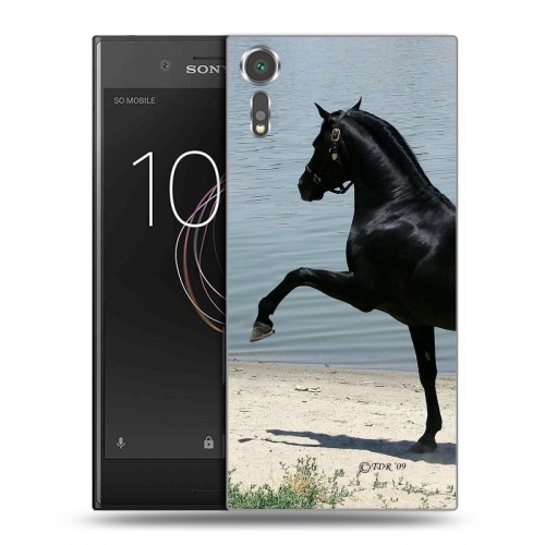 Дизайнерский пластиковый чехол для Sony Xperia XZs Лошади